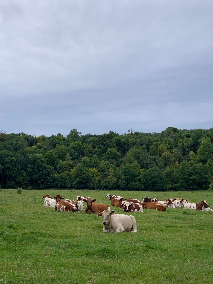 Bolder Academy - Sport and community use tweet media