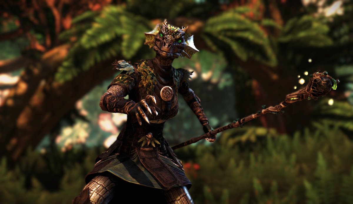 Warden of Galen 🦎
#ESO #ESOFam