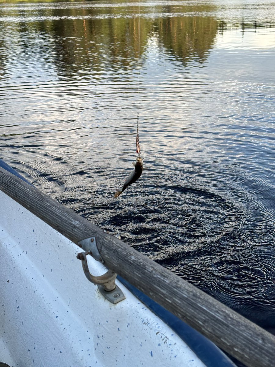 amountainlake's tweet photo. 🎣🍣 https://t.co/n45eCu1DCx