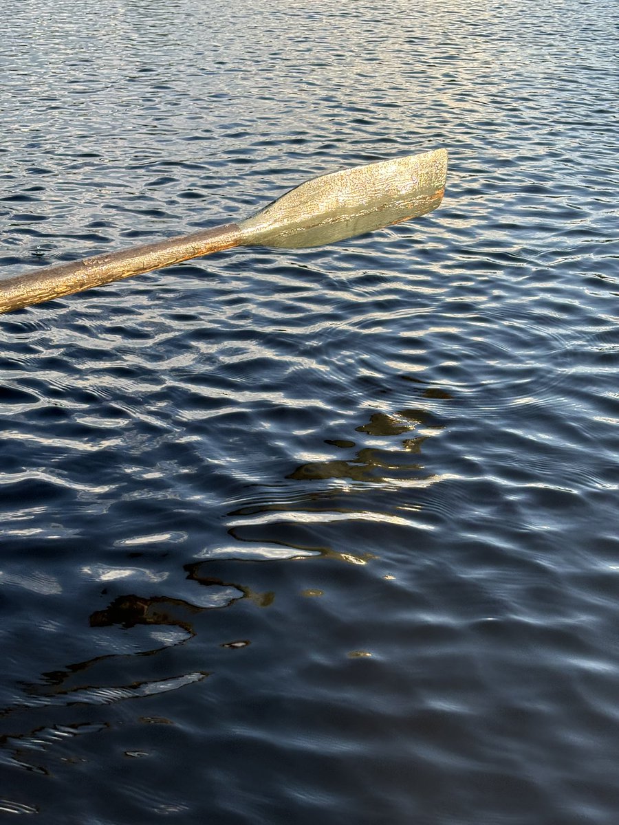 amountainlake's tweet photo. 🎣🍣 https://t.co/n45eCu1DCx
