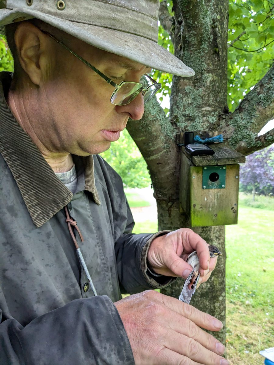 matt prior tweet media