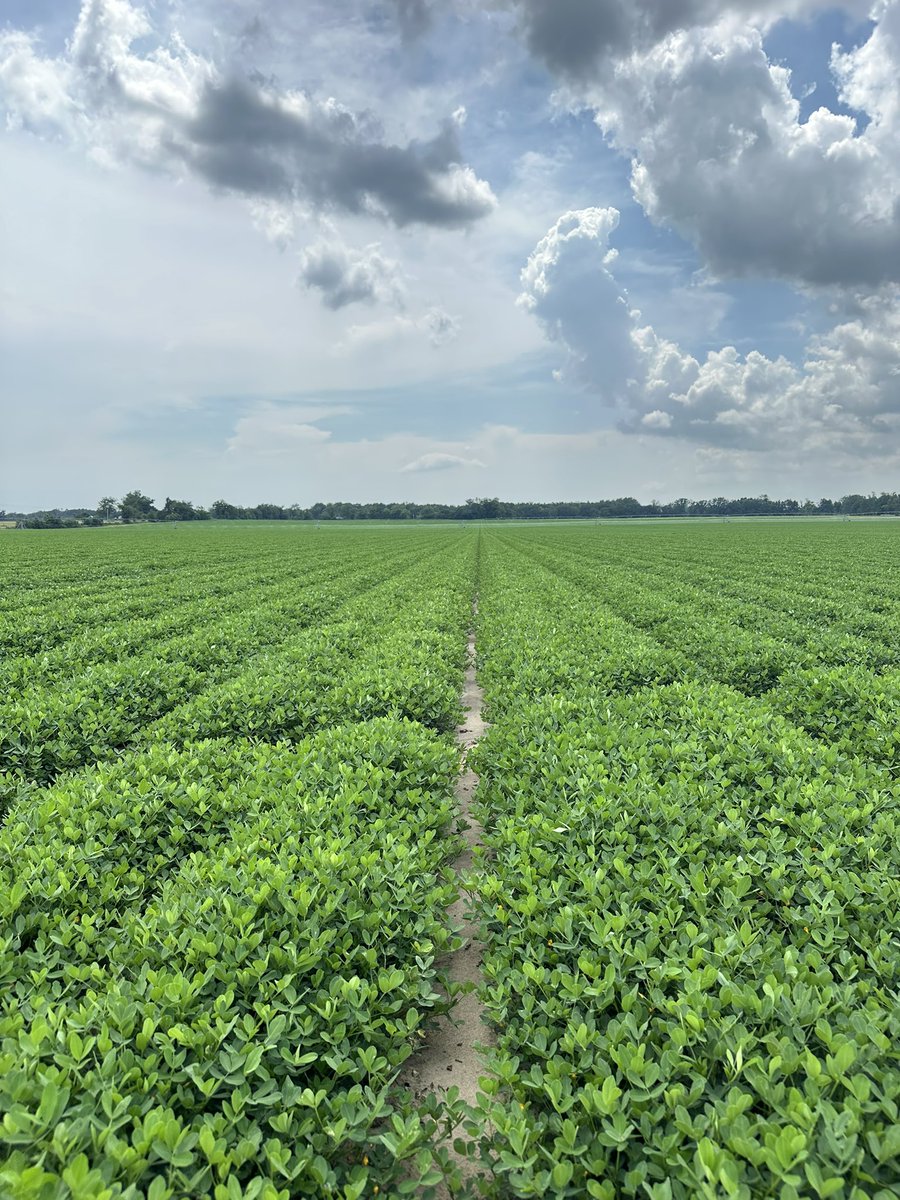 Wes Briggs tweet media