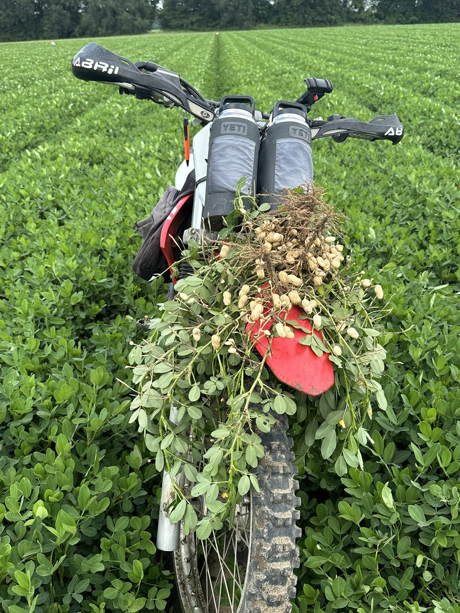 Wes Briggs tweet media