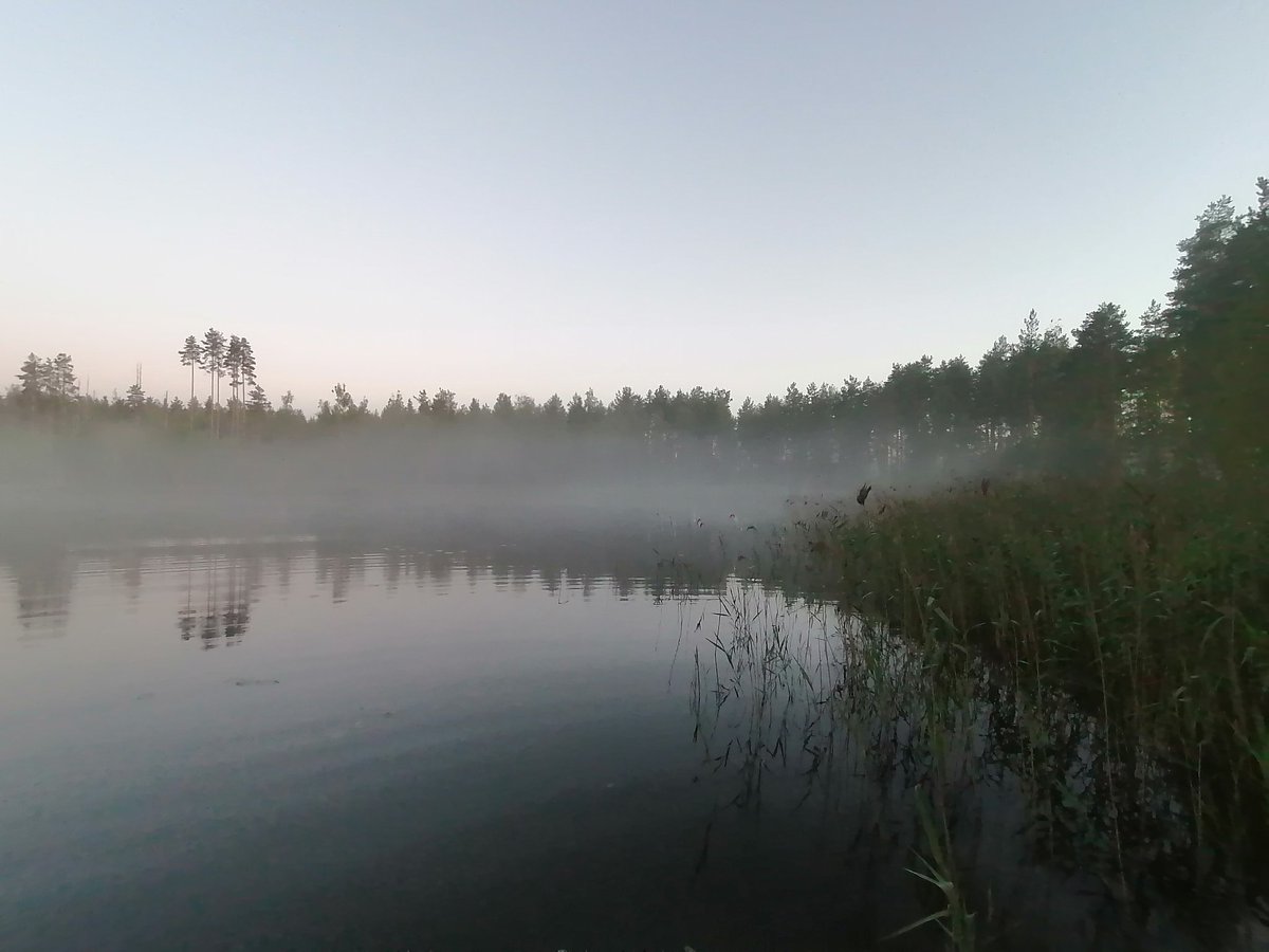 Illan tyyneys, rauha, hiljaisuus... #isovihreämies #potilaskuljettaja #sotesoturi #vihreät