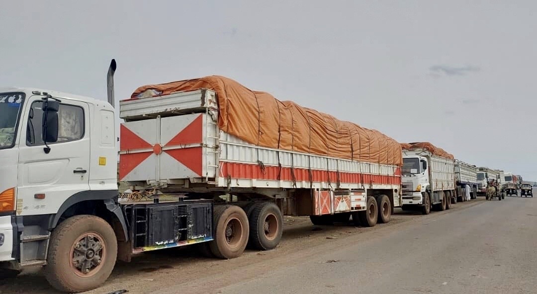 FAOSudan's tweet photo. #HappeningNow

Eight trucks loaded with 400 MT of sorghum seeds are en route to Nyala, South Darfur.

With the generous support of @EU_SUDAN, @USAIDSavesLives and @UNCERF, @FAO aims to reach 40 000 HHs—equivalent to 200 000 people.

Agricultural AID is Humanitarian AID! https://t.co/kV7mJVRIsD