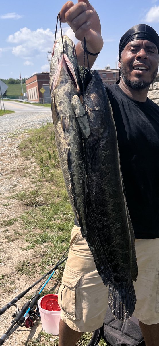 FishTacos144's tweet photo. Finally snapped the loosing streak. 2 nice #snakeheads the bigger one is 7lbs 32 inches. 💪🔥…. Everyone said it was gonna be too hot. I woke up late and missed the magic hour. Perpetual storms Downed tree blocked the road ….Regardless ; I persevered and was Victorious🎣‼️‼️ https://t.co/f3wqDlxqUz