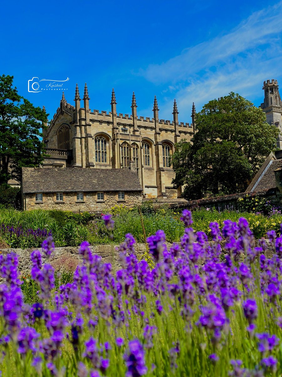 kushshots_2024's tweet image. Exploring Christ Church in Oxfordshire, founded by King Henry VIII in 1546. A blend of rich history, stunning architecture, and Harry Potter magic! 🌟📚⛪️ #ChristChurch #Oxfordshire #HistoricalLandmarks #Architecture #Travel #ExploreHistory #HarryPotter