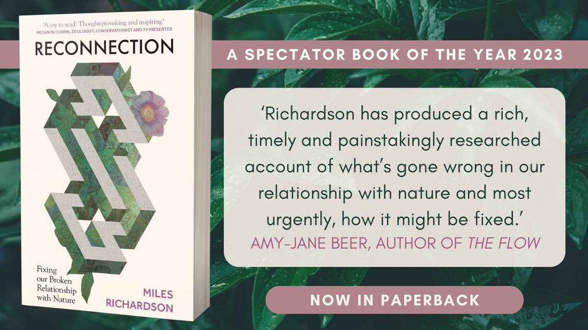 findingnature's tweet photo. Reconnection: Fixing our Broken Relationship with Nature

Paperback out now!

💔How was our close bond with nature broken?
🦠What invisible links with nature remain?
💚What are the benefits of a close relationship with nature?
👣What are the pathways to reconnection? https://t.co/NGCtPAJjZ5