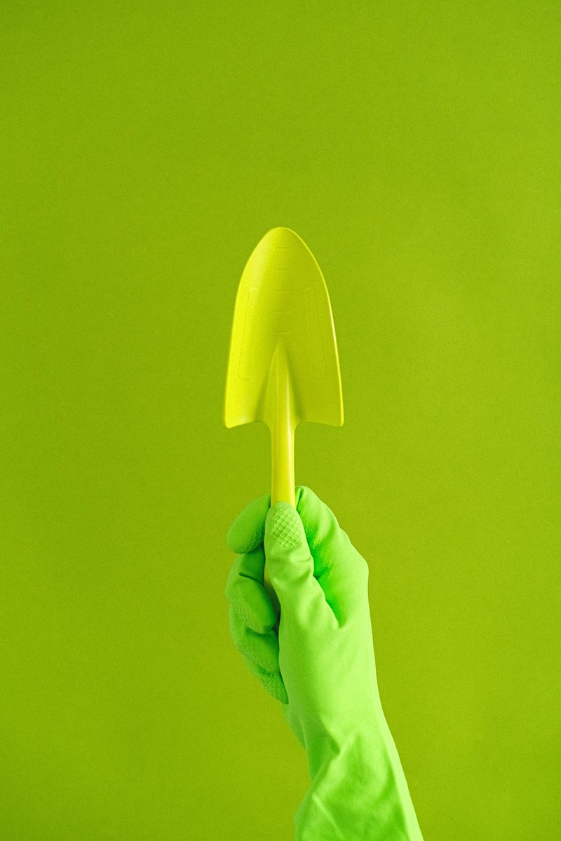 PatioGardenCntr's tweet photo. 🌿 Tool Tip Tuesday: The hand trowel is perfect for planting, transplanting, and weeding. Keep it clean and sharp for the best results!
🌱🌸 #ToolTipTuesday #GardenTools #HandTrowel #GardeningTips #PatioGardenCenter #GardeningTips #GardeningEssentials #GreenThumb #GardenHacks https://t.co/u6S1SQsC8v