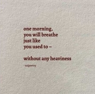 🍂 tweet media