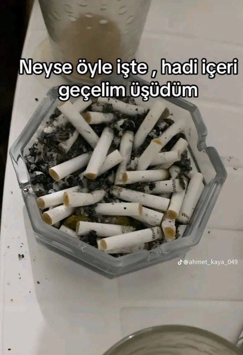 en son cümle " değmez be kardeşim "