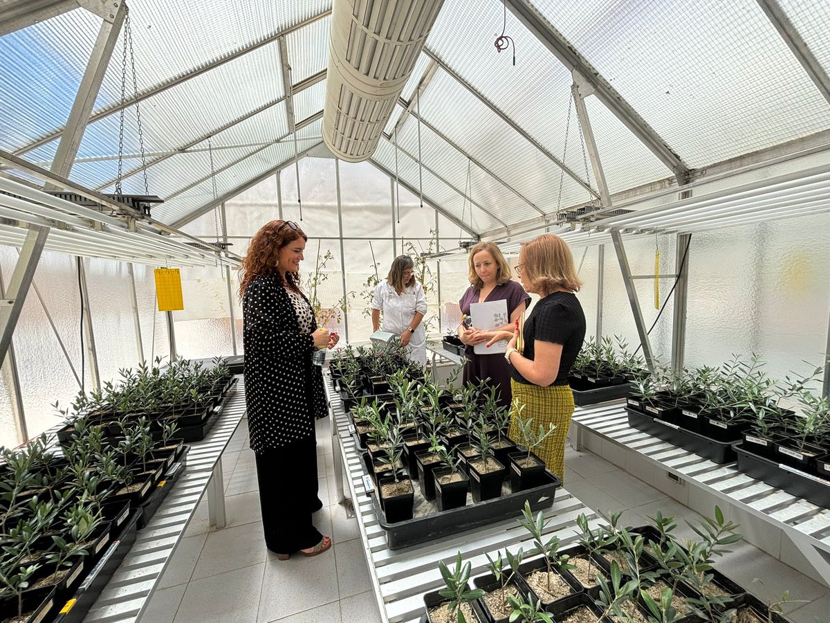 EvaOrtegaPaino's tweet photo. Posteriormente, hemos realizado una interesante visita al @EEZCSIC.  Sus impresionantes laboratorios e invernaderos son el marco perfecto para aprender sobre todo lo que podemos avanzar en la producción sostenible agrícola y ganadera. https://t.co/oT1wPfY2De