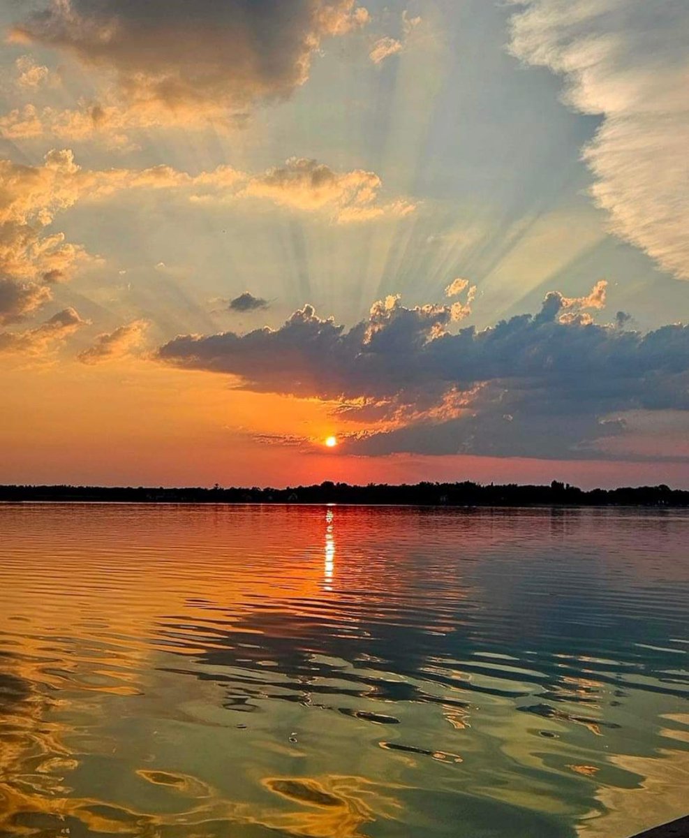 ina_5056's tweet photo. Palić https://t.co/O9UF3Cl8im