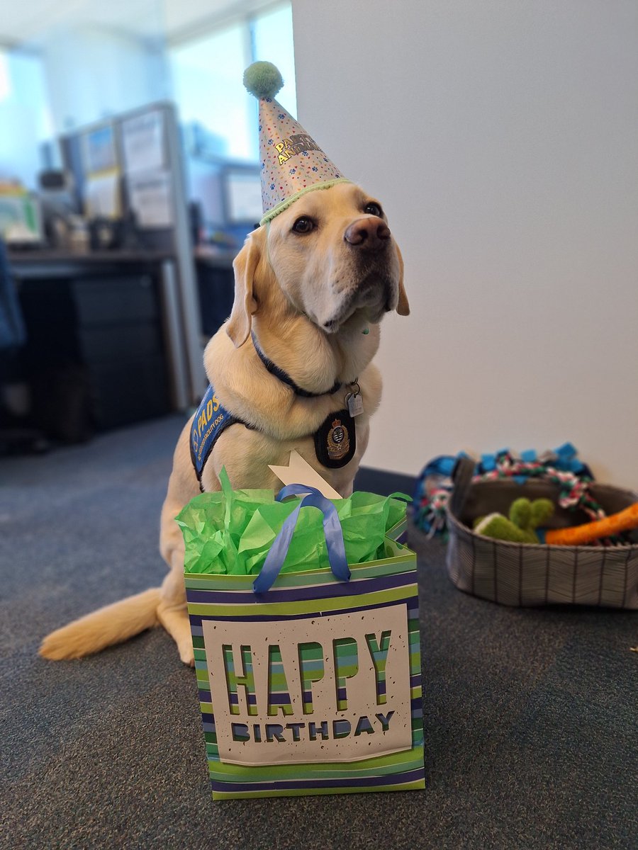 Vancouver Police tweet media