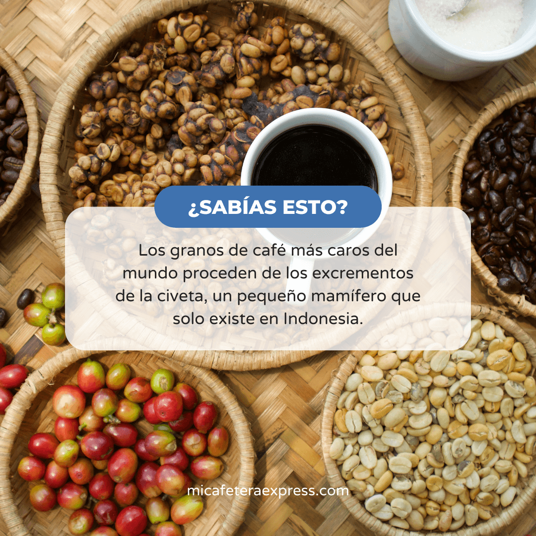 Mi Cafetera Express tweet media