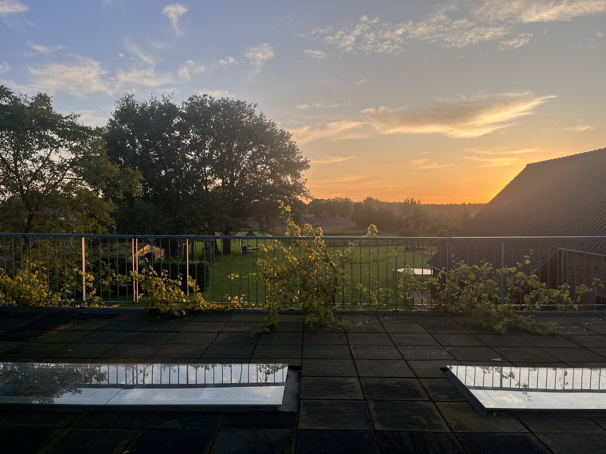 Dr. Sherry (Yuying) Tan tweet media