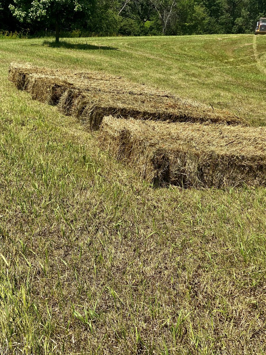 The functional part of PT’s Garden: the open meadows have been mowed &amp; made into bales. The bales will be used for the cattle next door. Win-win.

#ptsgarden #gardening #ag #midwest #iowa #summer #agriculture #farm
