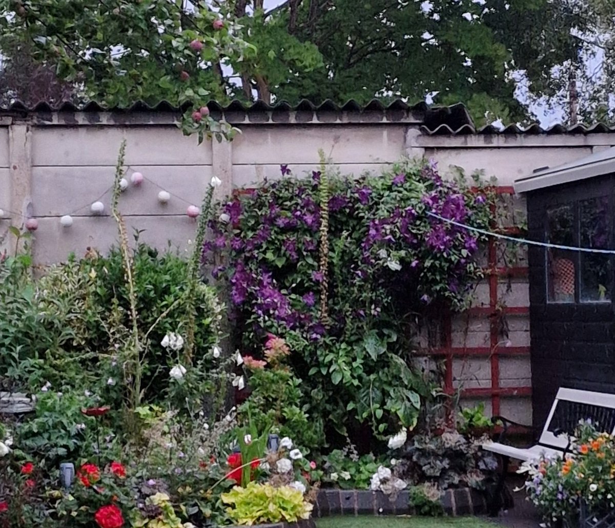JaneyHandles's tweet photo. @GardensHour Blooming 🌺 #GardensHour https://t.co/ctOIMdIZFW