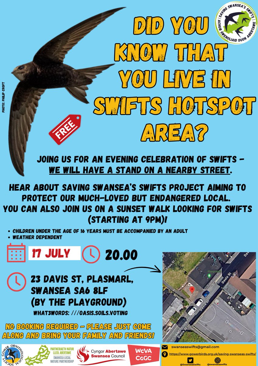 Our final Swift event of the year is this Wednesday (17th July) in Plasmarl. All are welcome, no booking required. More information can be found on the posters below. (cookies will again be provided) #Swifts