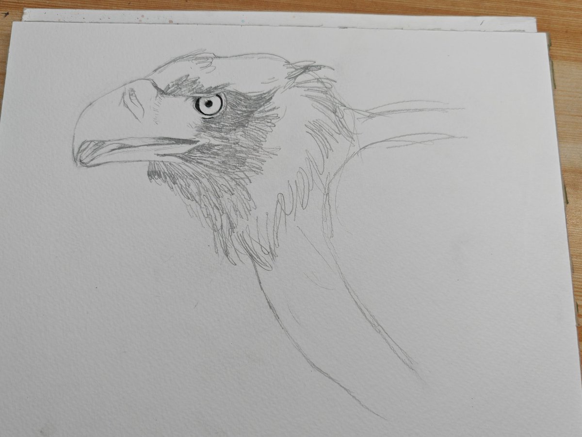 while85858855's tweet photo. Drawing~ https://t.co/CMocsePjpg