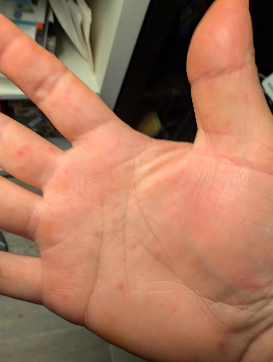 Vincent Flibustier 👽 tweet media