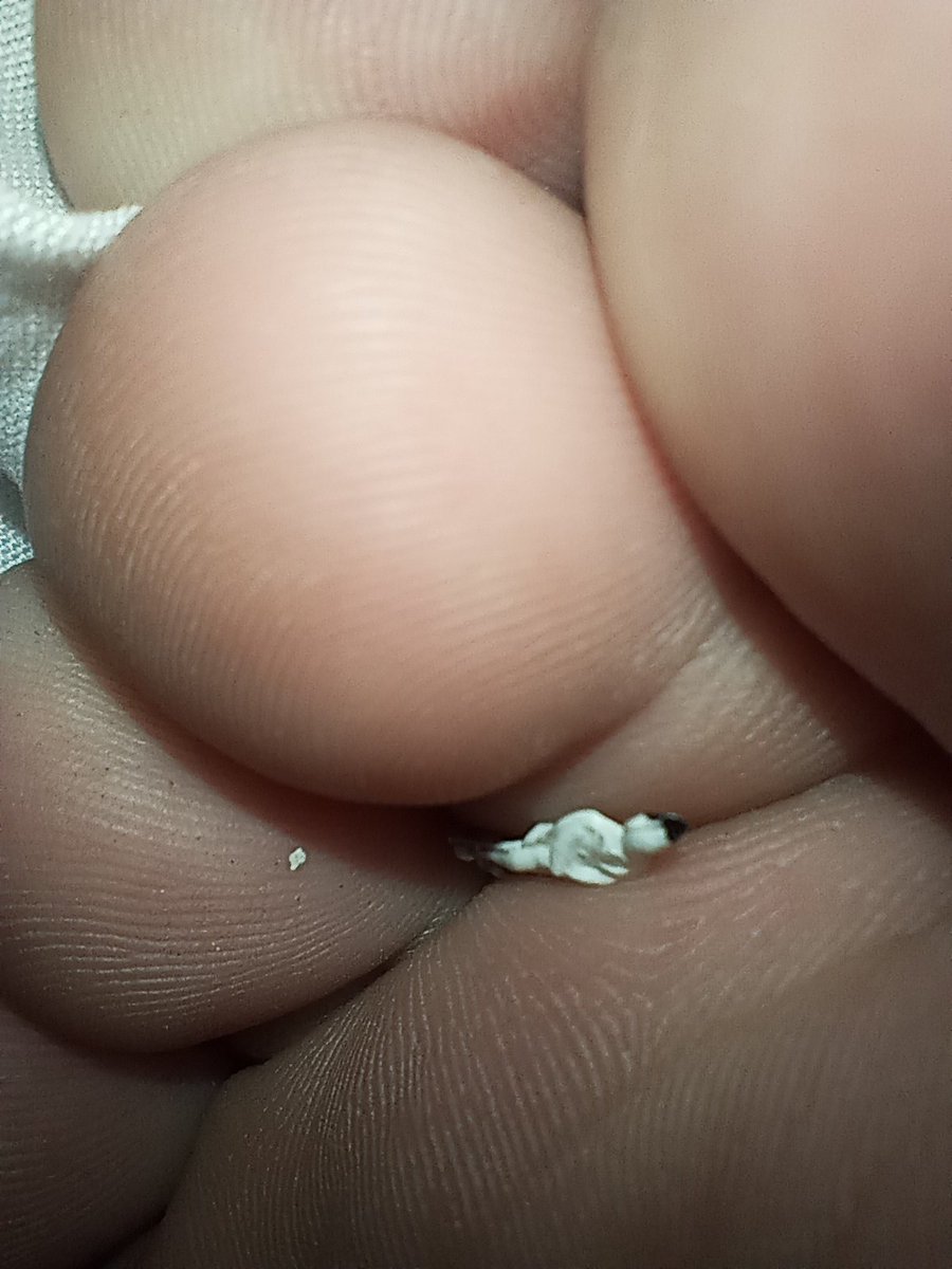 toweringJames's tweet photo. She was being a pain on the ass to a good coworker of mine while ordering for her venti extra hot nonfat no water no foam chai, anyhow, one smollering  from the shrinking virus and she has been a great insole #malegiant #sizetwitter #malefeet https://t.co/QE1XkYJ6EV