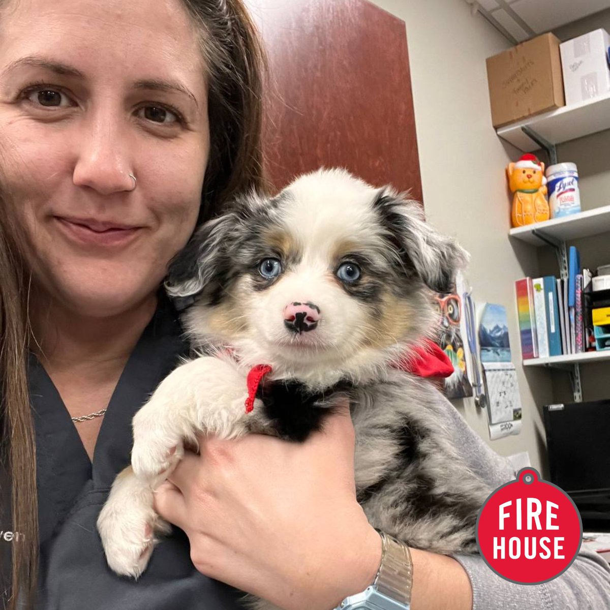 Firehouse Vet tweet media