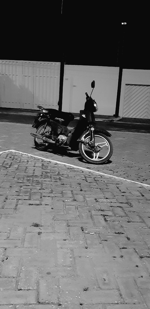 Tobib585's tweet photo. Eu e a ratinha estaremos  novamente curtindo as noitadas... https://t.co/qVGwlzhTc9
