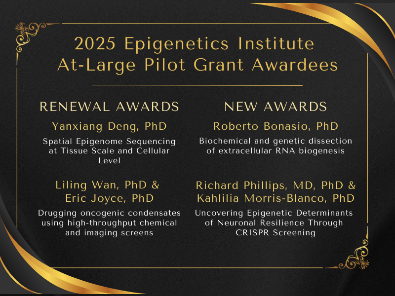 Penn Epigenetics (@pennepiinst) on Twitter photo We are thrilled to announce the recipients of the 2025 Epigenetics Institute At-Large Pilot Grants! We look forward to seeing the progress of these projects in the next year! <a href="/DengYanxiang/">Yanxiang Deng</a> <a href="/LilingWanLab/">Liling Wan</a> <a href="/ericjoycelab/">Eric Joyce</a> <a href="/Dr_RPhillips/">Richard Phillips</a> <a href="/MorrisBLab/">Kahlilia Morris-Blanco</a> We are thrilled to announce the recipients of the 2025 Epigenetics Institute At-Large Pilot Grants! We look forward to seeing the progress of these projects in the next year! <a href="/DengYanxiang/">Yanxiang Deng</a> <a href="/LilingWanLab/">Liling Wan</a> <a href="/ericjoycelab/">Eric Joyce</a> <a href="/Dr_RPhillips/">Richard Phillips</a> <a href="/MorrisBLab/">Kahlilia Morris-Blanco</a>