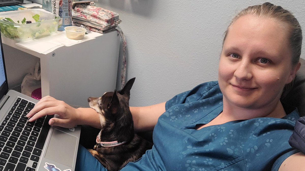 Not my usual writing buddy, but a good snuggle bug for a lunchtime writing session. 
She doesn't try to lick my hands as I type (unlike a certain corgi who is at home today) 
#AmWriting #GoodDog #LunchBreak