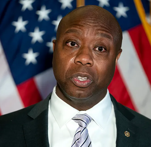 mmpadellan's tweet photo. It's pretty fucking hilarious to me that Tim Scott fully debased himself as a prop for trump, only to be left WAAAAY off trump's short list for VP.

Congrats, Tim.
You played yourself. 🤡 https://t.co/o8qqsjkmfe