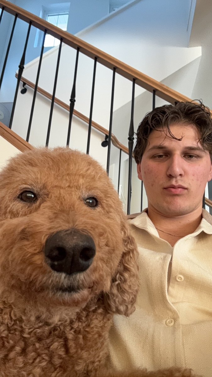 Hamzagic999's tweet photo. Just me and my dogs https://t.co/tugg0zBlZk