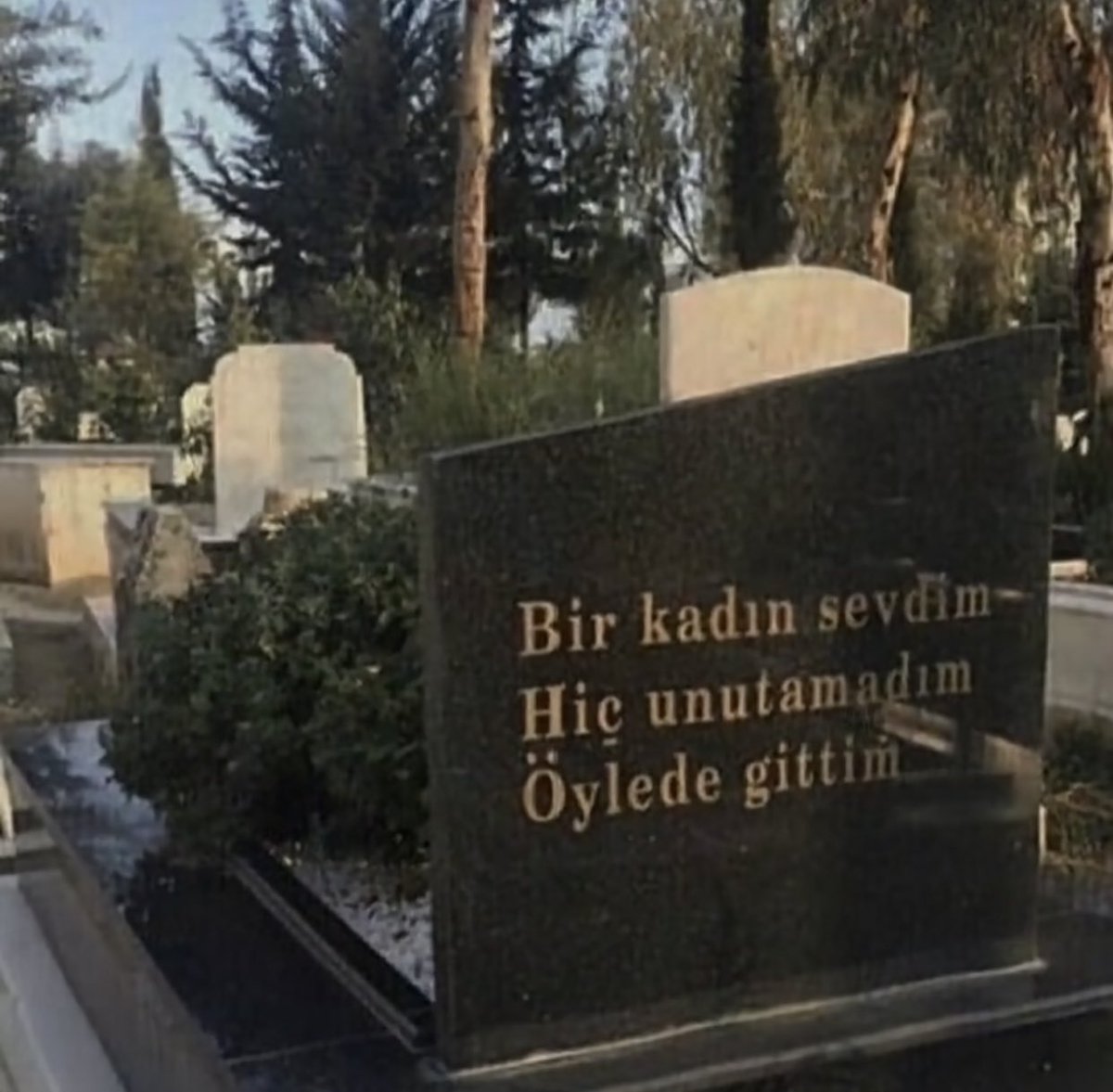 Bir kadın sevdim 
hiç unutmadım 
öyle de gittim
