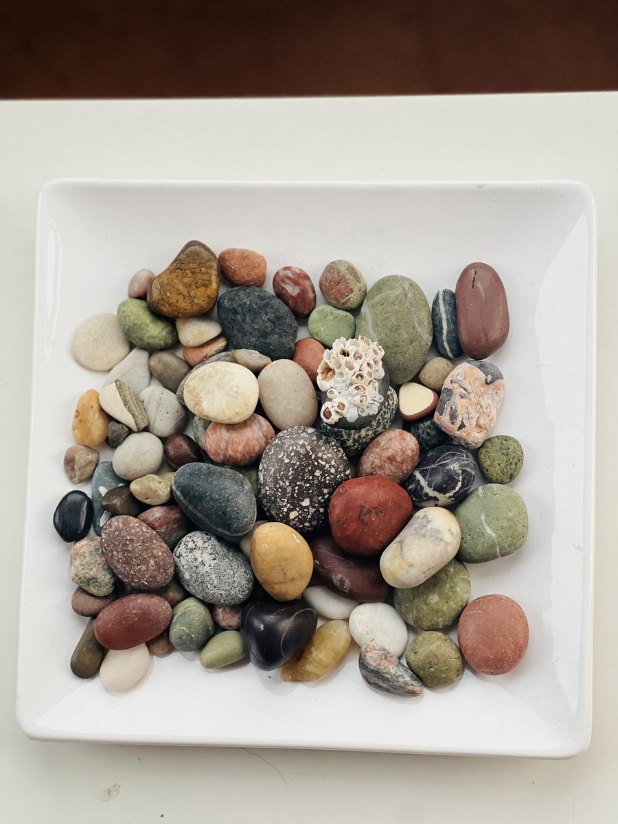 Katie Pope tweet media