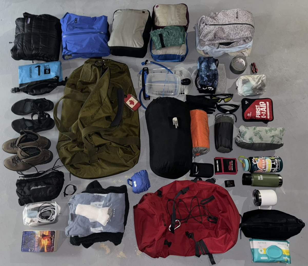 Simona Ruso, Ph.D. tweet media