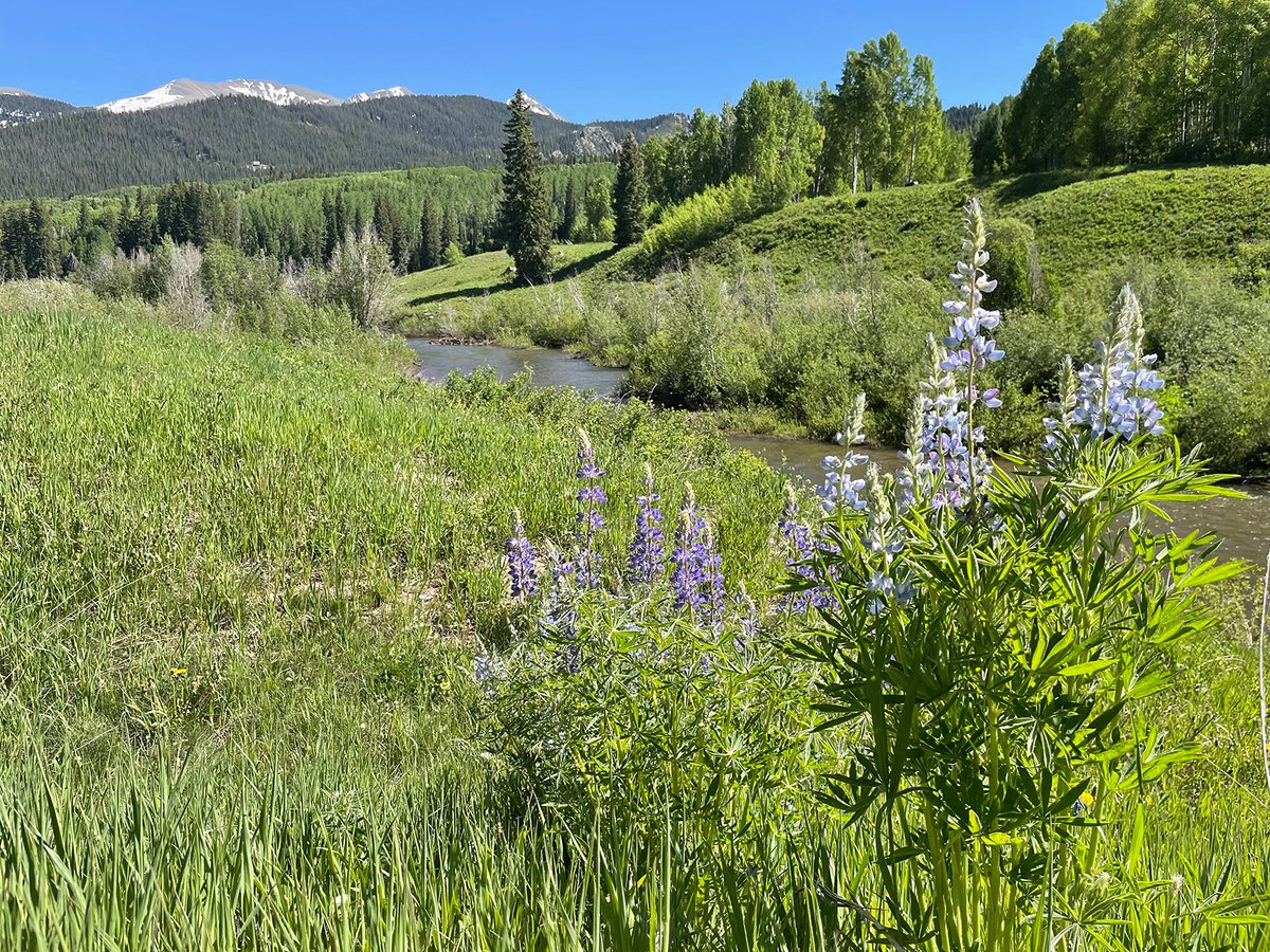 Colorado River District tweet media