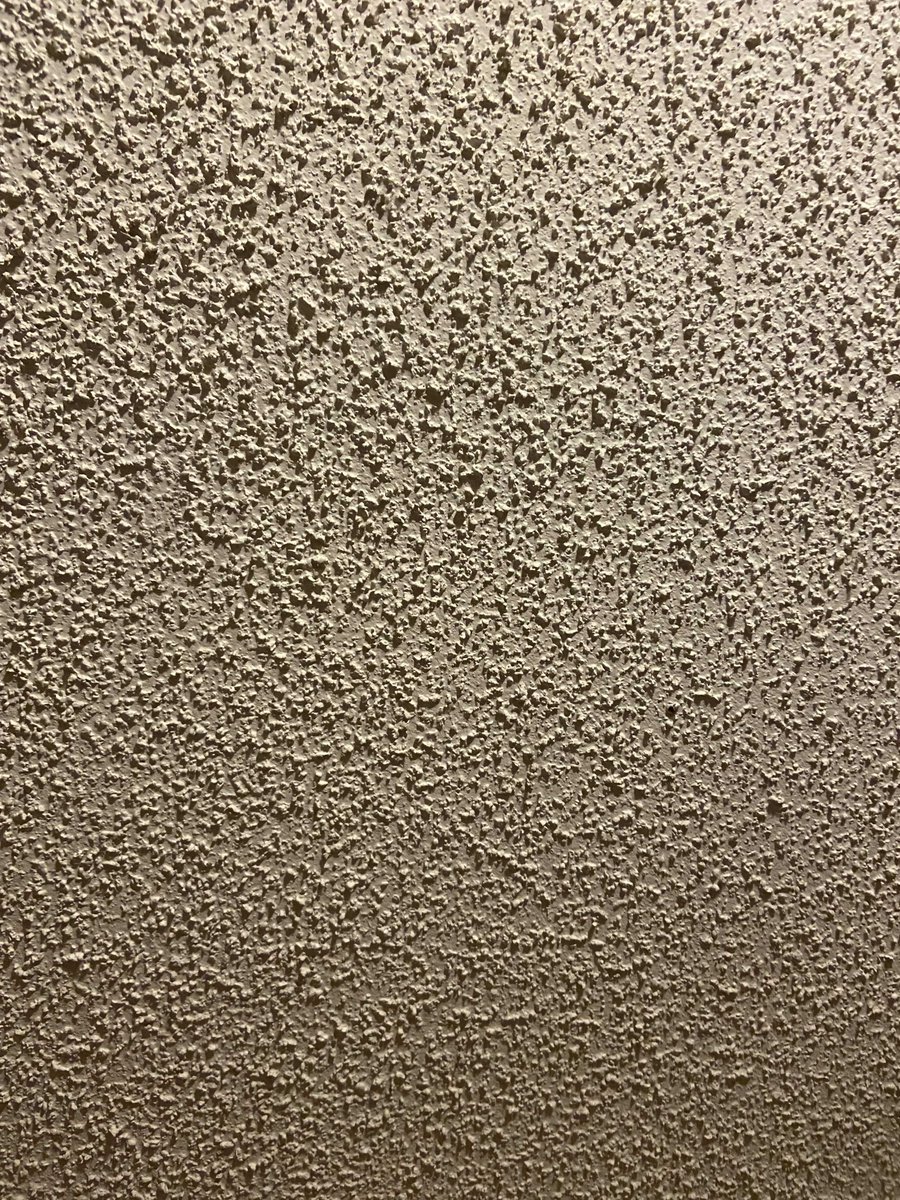 Found Arle on my ceiling!