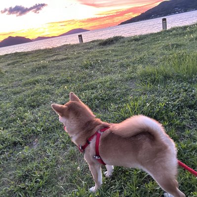 #新しいプロフィール画像