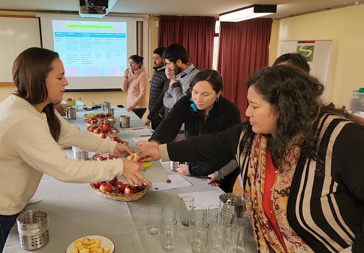 Agradecemos la valiosa participación de nuestros colegas en panel de degustación de nuestro PMG Manzanos. Recogemos cada una de sus sugerencias para seguir avanzando en la búsqueda de la primera variedad de manzana Made in Chile <a href="/INIAQuilamapu/">INIA Quilamapu</a> <a href="/iniachile/">INIA Chile</a> <a href="/carlahahnb/">CARLA HAHN BRENDEL</a> <a href="/leowilchez/">Leonardo Alexis</a>