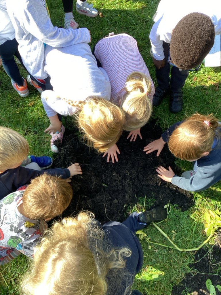 SBPS Ducklings tweet media