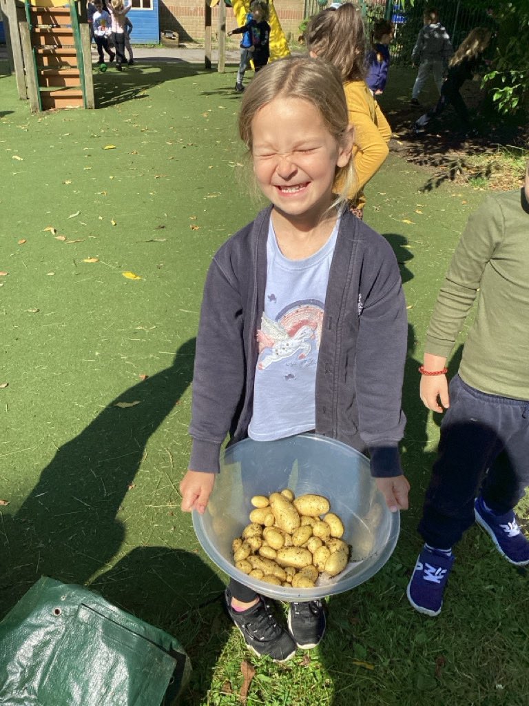 SBPS Ducklings tweet media