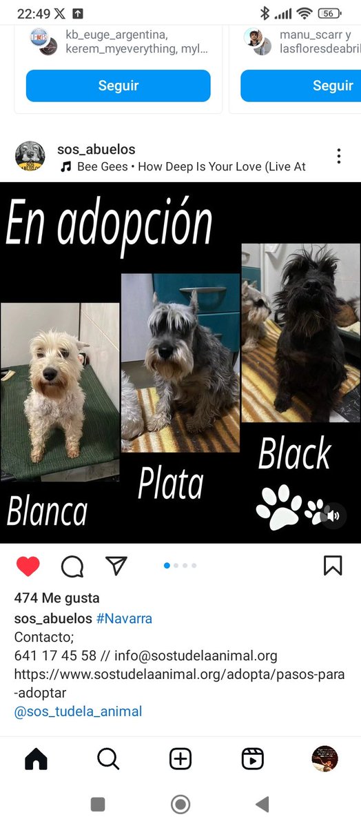 paqui_repa's tweet image. 🫶🫶
#SosAdoption 
#sosabuelos
#AdoptaNoCompres