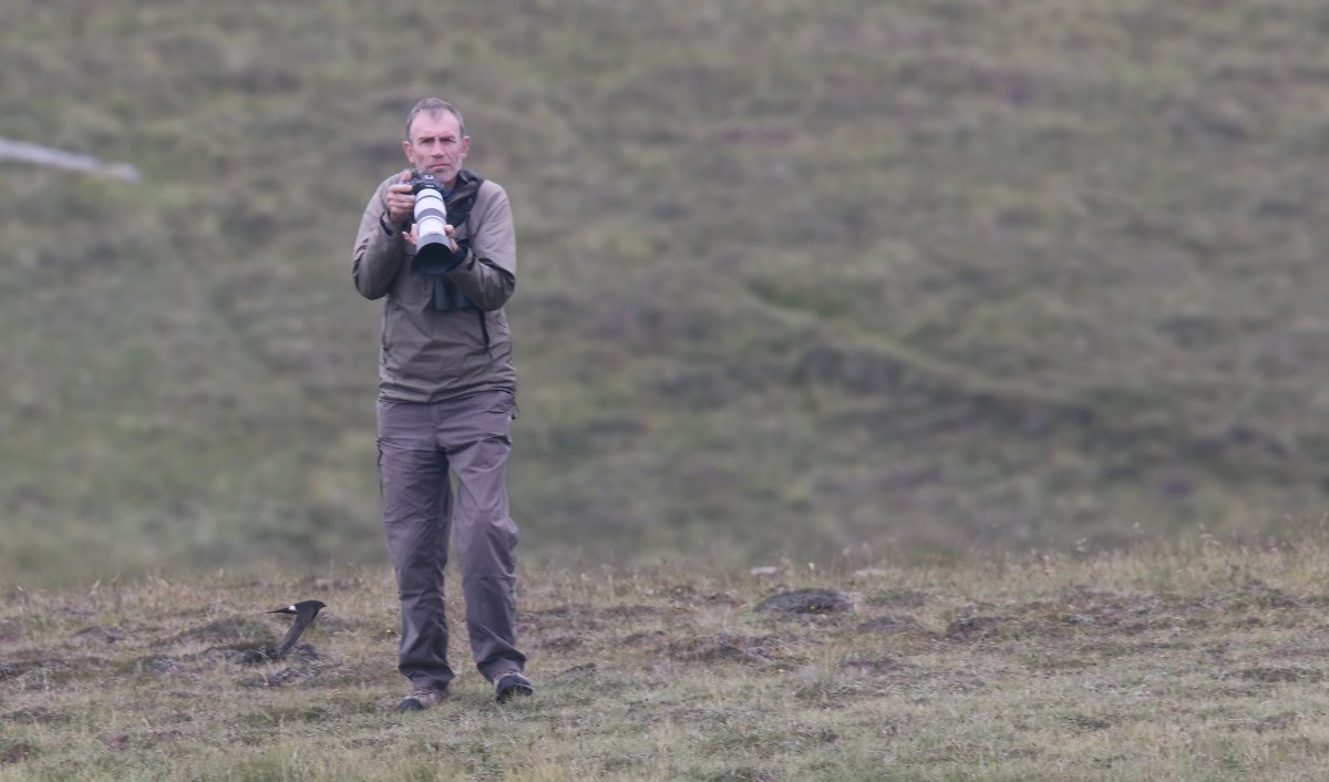 Roger Riddington (@rogerriddington) on Twitter photo Pacific Swift! In the field behind our house! Oooft... Presumably the returning bird from June22 & July23. Where else does it go? And why is it in wing moult this year? So many questions. Thanks to @Vicount_Biscuit for souvenir mugshot. <a href="/NatureInShet/">Nature in Shetland</a> <a href="/BirdGuides/">BirdGuides</a> <a href="/RareBirdAlertUK/">RareBirdAlertUK</a> Pacific Swift! In the field behind our house! Oooft... Presumably the returning bird from June22 & July23. Where else does it go? And why is it in wing moult this year? So many questions. Thanks to @Vicount_Biscuit for souvenir mugshot. <a href="/NatureInShet/">Nature in Shetland</a> <a href="/BirdGuides/">BirdGuides</a> <a href="/RareBirdAlertUK/">RareBirdAlertUK</a>