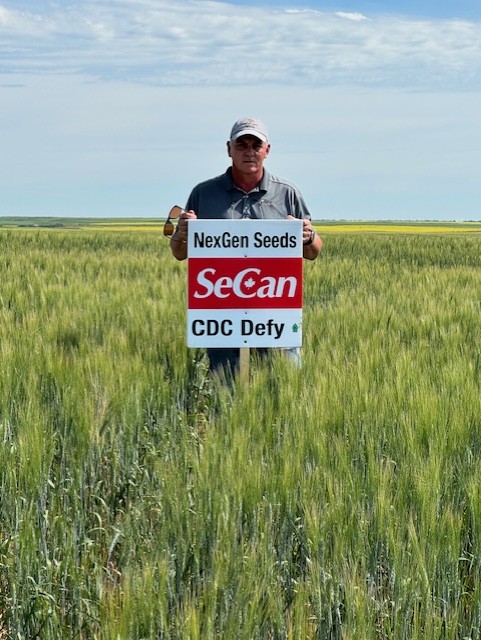 nexgenseeds's tweet photo. Our Defy Seed production is looking amazing, call us to make a booking for your 2025 Certified Seed requirements. https://t.co/hR1jCf2d1g