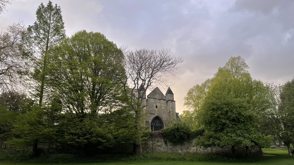 HLaehnemann's tweet photo. @YalePevsner The Norman church of St-Peter-in-the-East, now @sehlibrary, seen from @NewCollegeOx gardens #Pevsner https://t.co/YQg57RMMaa