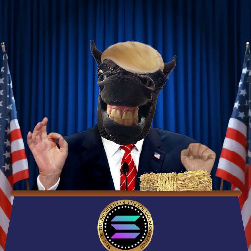 monichan03's tweet photo. @BullMarketInfo errrr ser...?? 
are you frfr?.....

it's fucking @furcoinsol DUH https://t.co/AQ1XwSAAl0