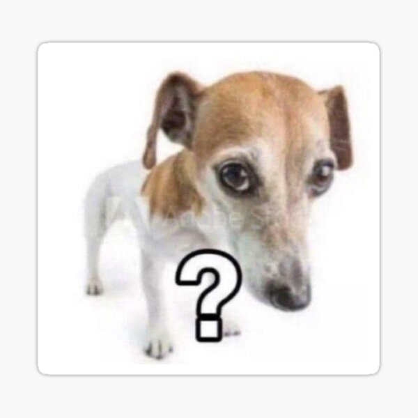 Rubkarl's tweet image. Mrbeast y su equipo viendo que elrubius subio un vlog de su reto a un canal con 40 Millones