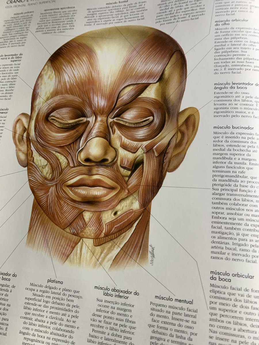 studybiscoit005's tweet image. ＼＼\\٩( 'ω' )و //／／