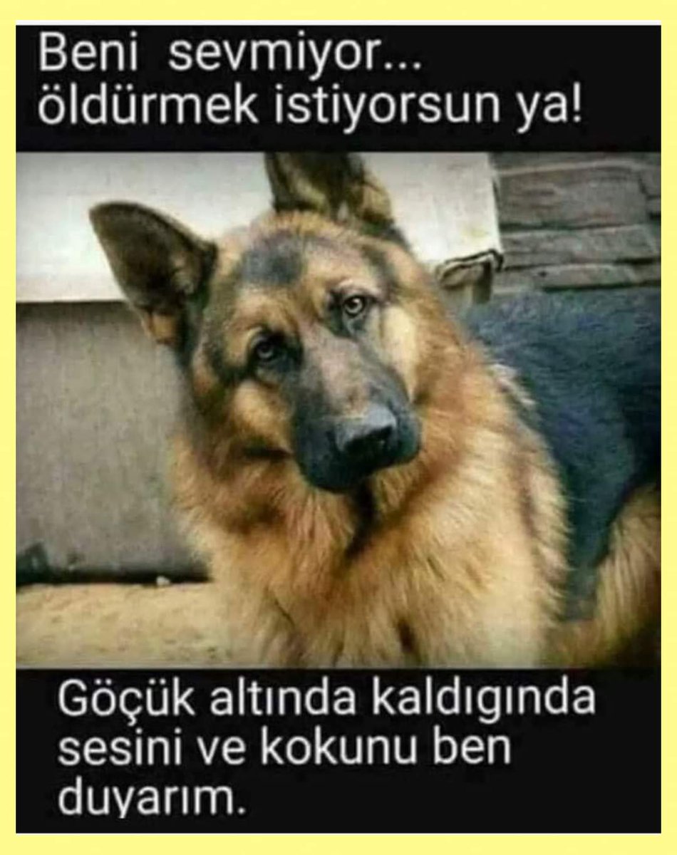 AliSere20's tweet photo. Ötenazi kabul edilemez.!
#YasaGeçirilemez https://t.co/t1FyyT3572