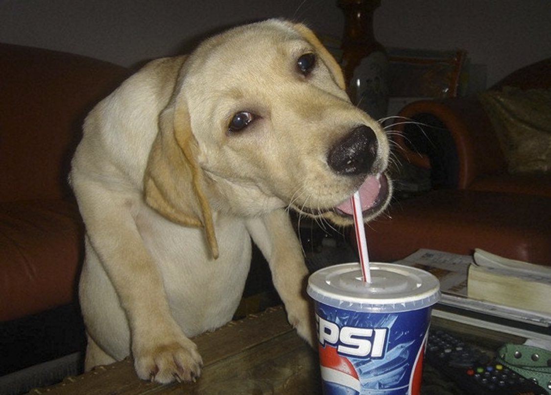 M1das (@m1das_ow2) on Twitter photo 